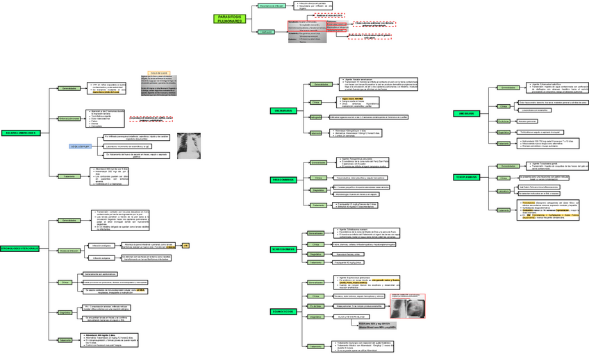 Miniatura del documento TEO-MED-INT-1-PARASITOSIS-PULMONAR.drawio.pdf