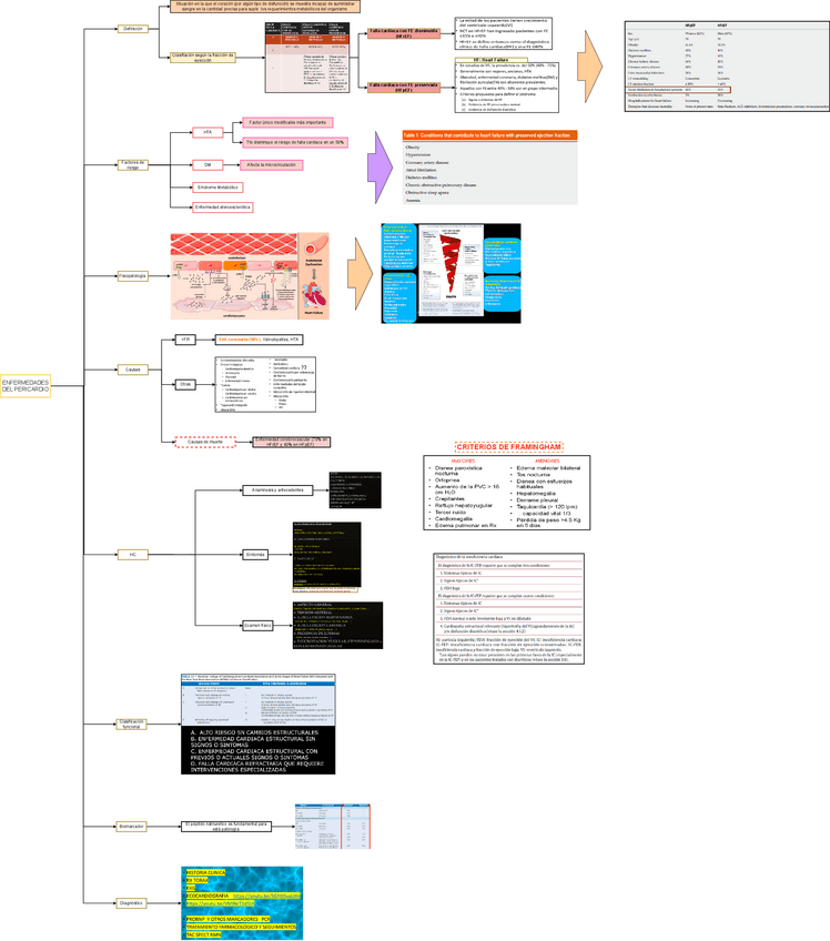 Miniatura del documento TEO-MED-INT-1-INSUFICIENCIA-CARDIACA.drawio.pdf