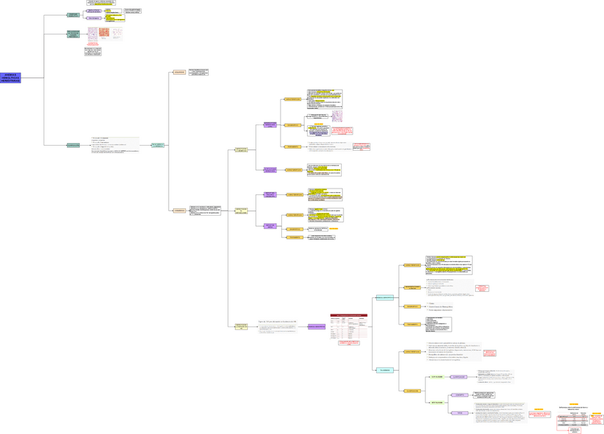 Miniatura del documento TEO-MED-1-ANEMIAS-HEMOLITICAS-HEREDITARIAS.drawio.pdf
