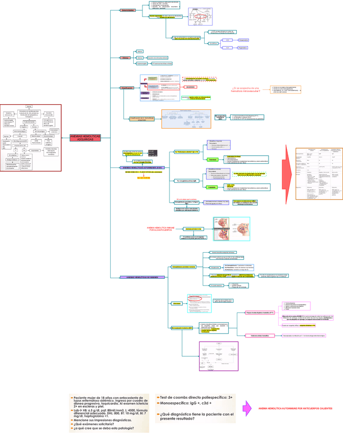 Miniatura del documento TEO-MED-INT-1-ANEMIAS-HEMOLITICAS-ADQUIRIDAS.drawio.pdf