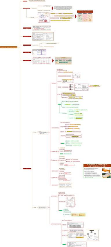 Miniatura del documento TEO-MED-INT-1-COAGULOPATIAS-HEREDITARIAS-Y-ADQUIRIDAS.drawio.pdf