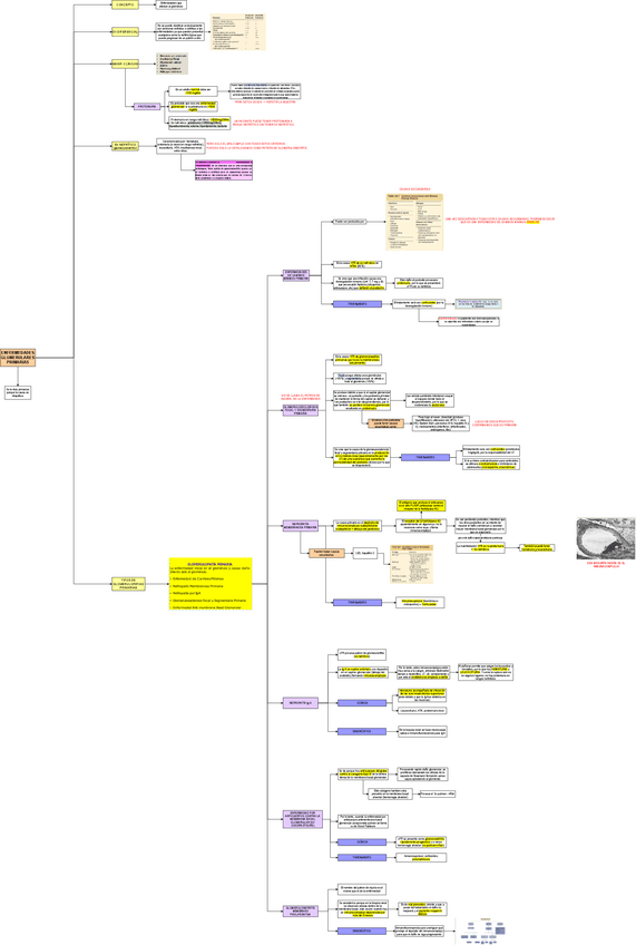 Miniatura del documento TEO-MED-1-ENFERMEDADES-GLOMERULARES-PRIMARIAS.drawio.pdf