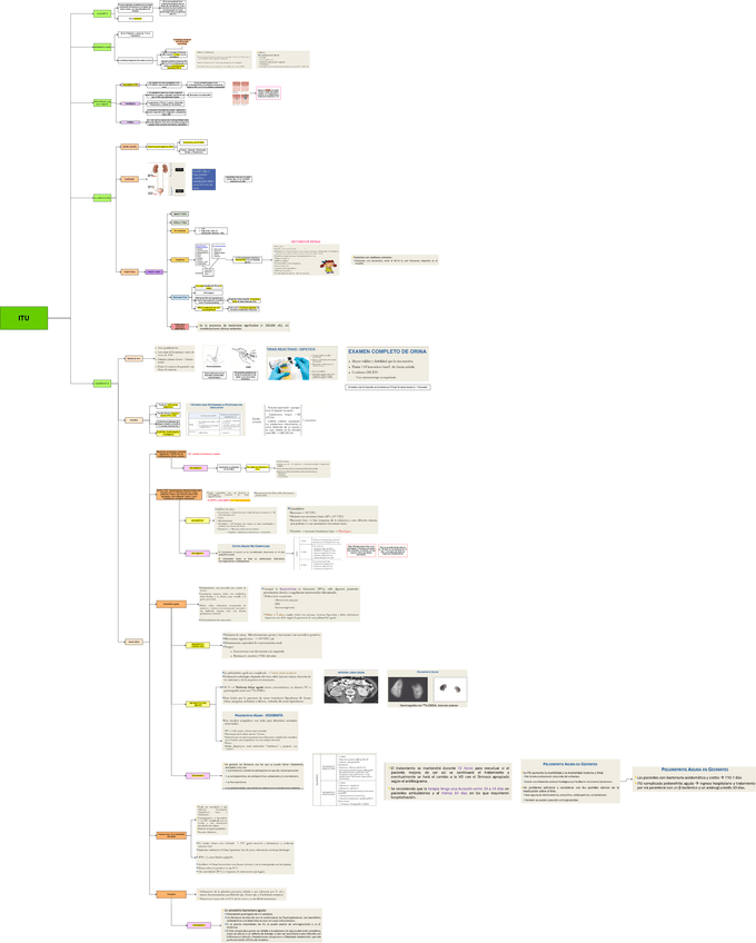 Miniatura del documento TEO-MED-1-ITU.drawio.pdf
