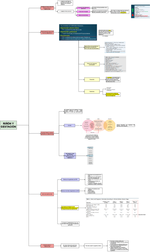 Miniatura del documento TEO-MED-1-RINON-Y-GESTACION.drawio.pdf