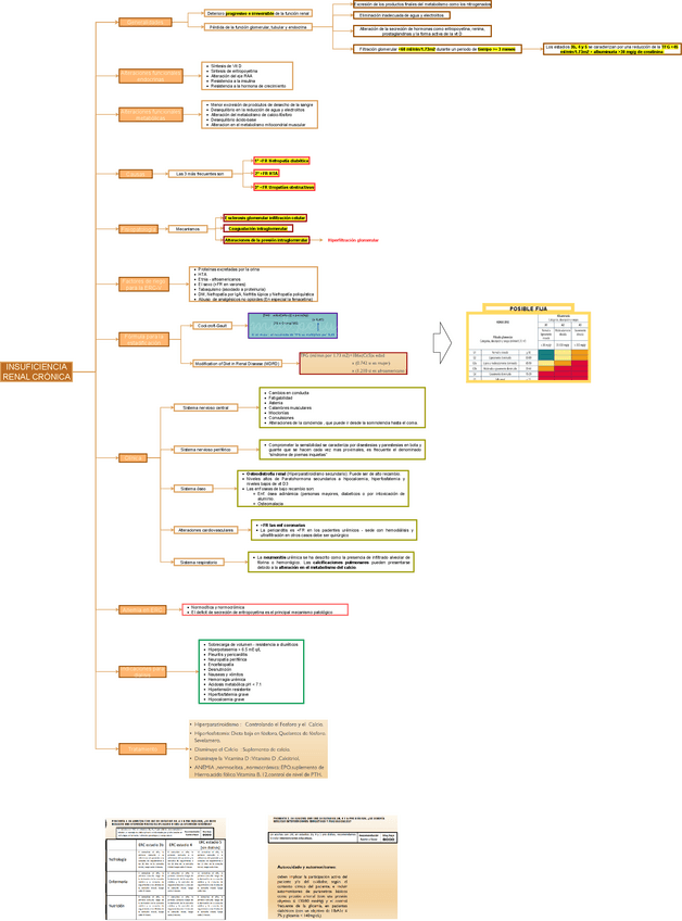 Miniatura del documento TEO-MED-INT-1-INSUFICIENCIA-RENAL-CRONICA.drawio.pdf