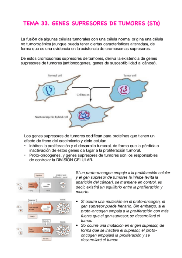 Miniatura del documento T33.-STs-Genes-Supresores-De-Tumores.pdf