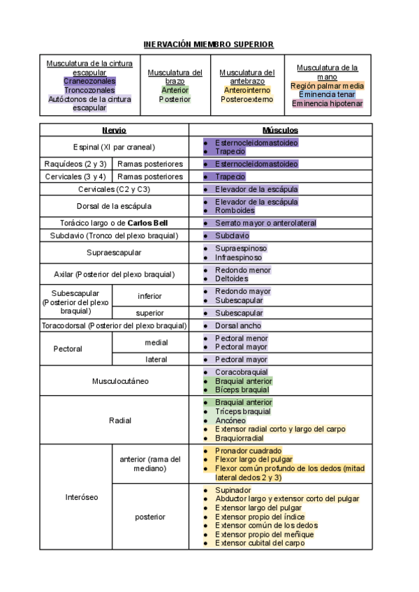 Miniatura del documento Inervacion-Miembros-Superior-e-Inferior.pdf