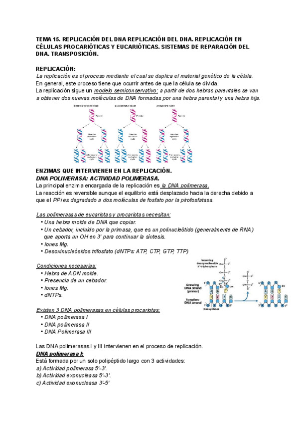 Miniatura del documento TEMA-15.pdf