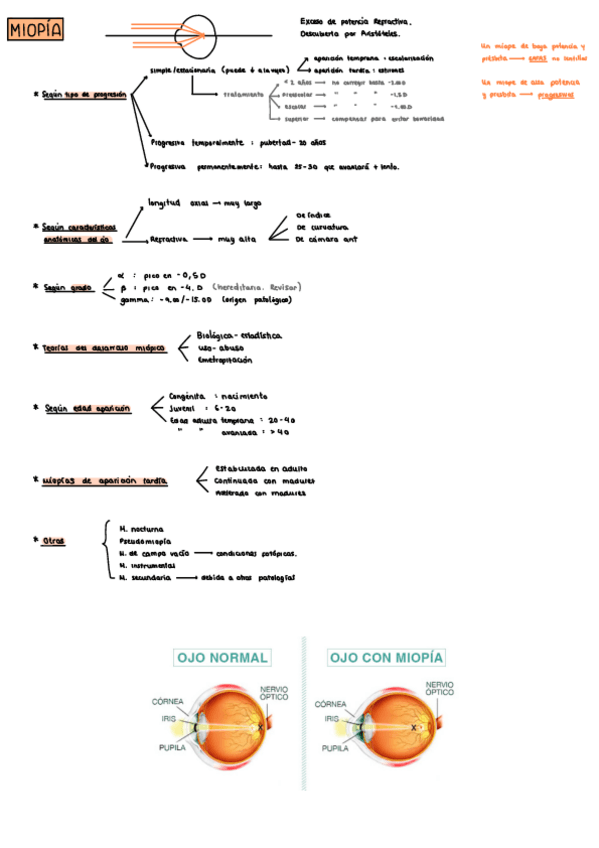 Miniatura del documento Miopia-hipermetropia-astigmatismo-y-adiciones.pdf