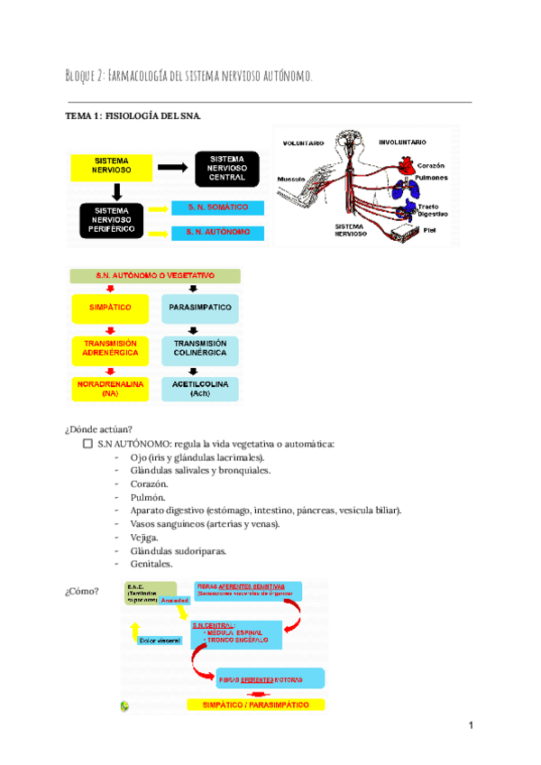 Miniatura del documento Farmacologia-Susana.-2.pdf