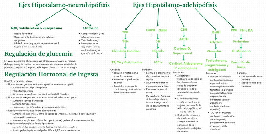 Miniatura del documento T.9-Resumen.png