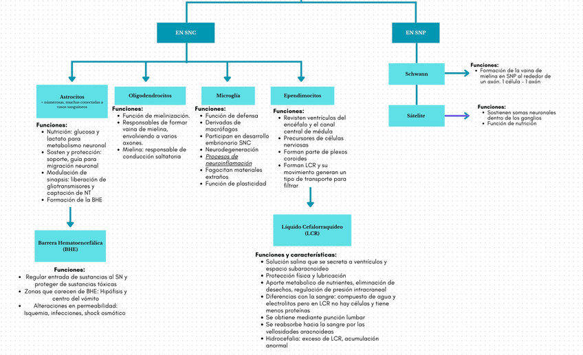 Miniatura del documento T.1-Resumen.JPG