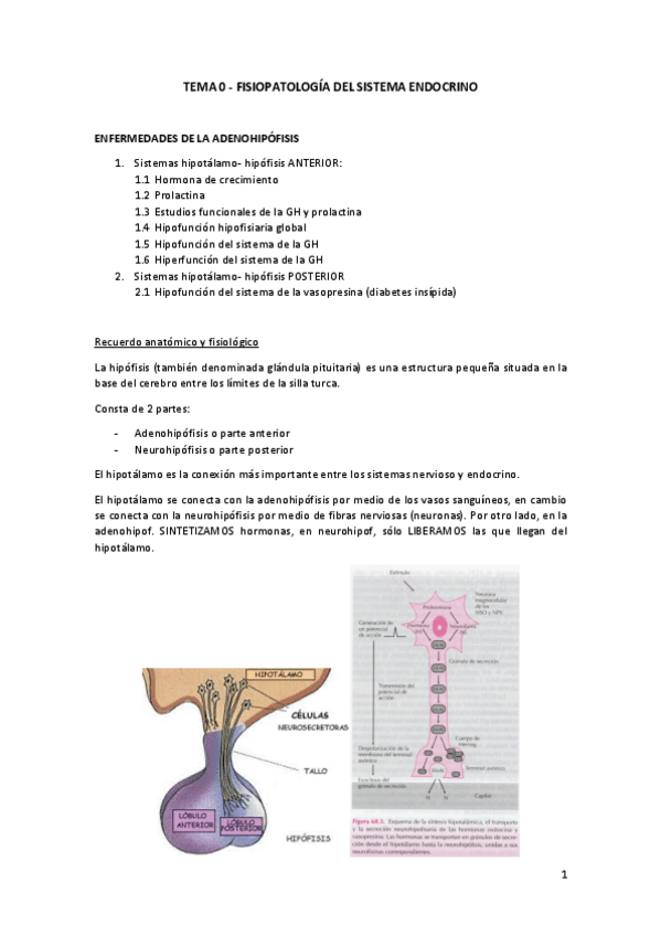 Miniatura del documento FP-T-1-Sist.-endocrino-Apuntes.pdf