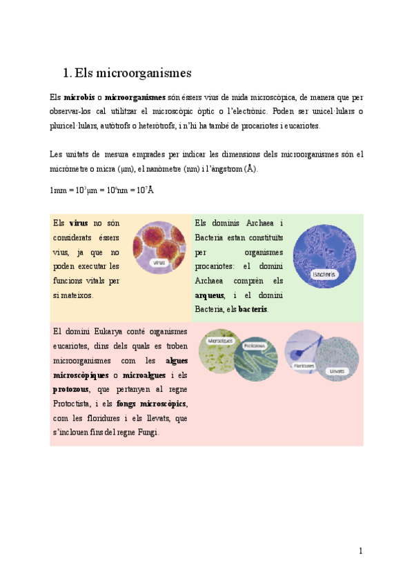 Miniatura del documento U11.-ELS-MICROORGANISMES.pdf