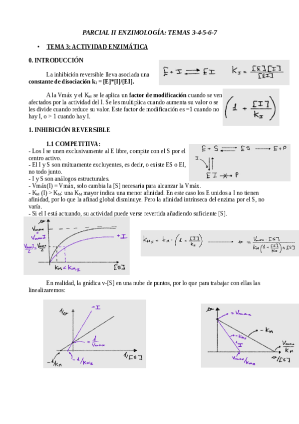Miniatura del documento TEORIA-PARCIAL-II-COMPLETO.pdf