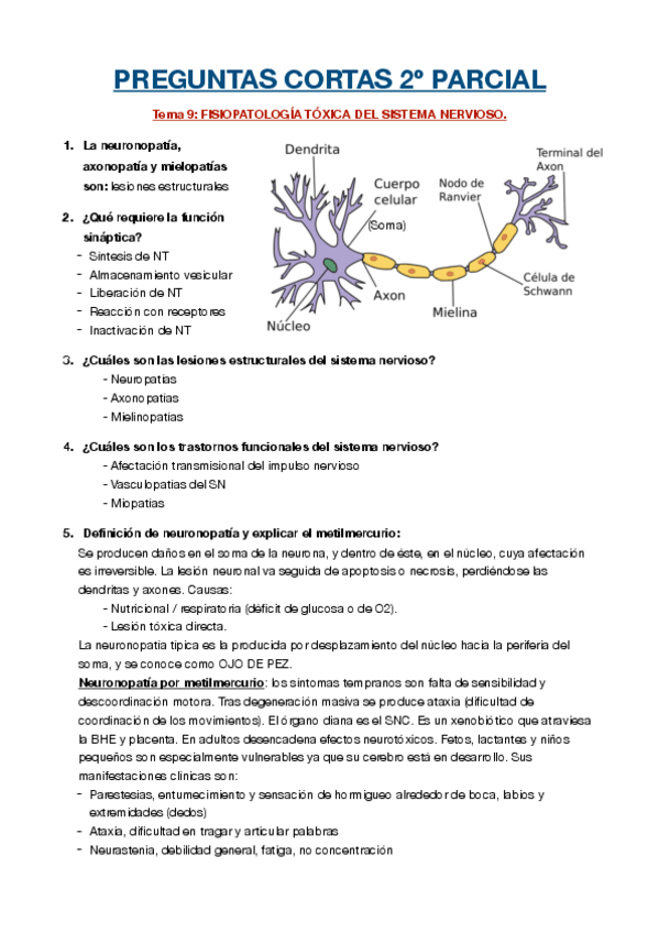 Miniatura del documento TEMA-9.pdf