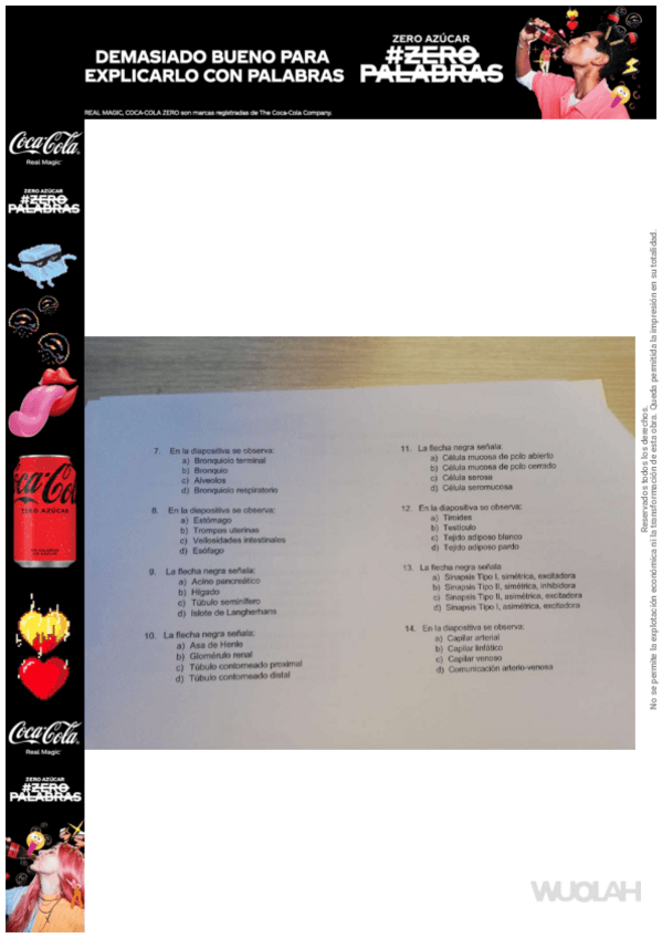 Miniatura del documento Examenes-Histo-4.pdf