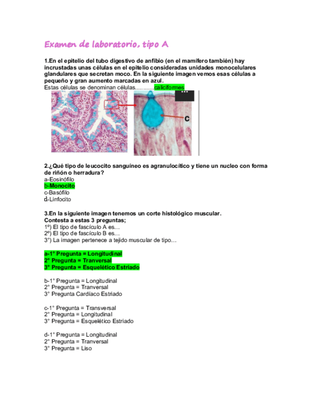 Miniatura del documento Examen-laboratorio.pdf