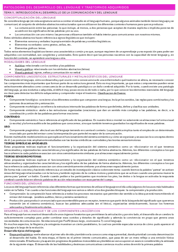 Miniatura del documento RESUMEN-PATOLOGIA-DEL-DESARROLLO-DEL-LENGUAJE.pdf