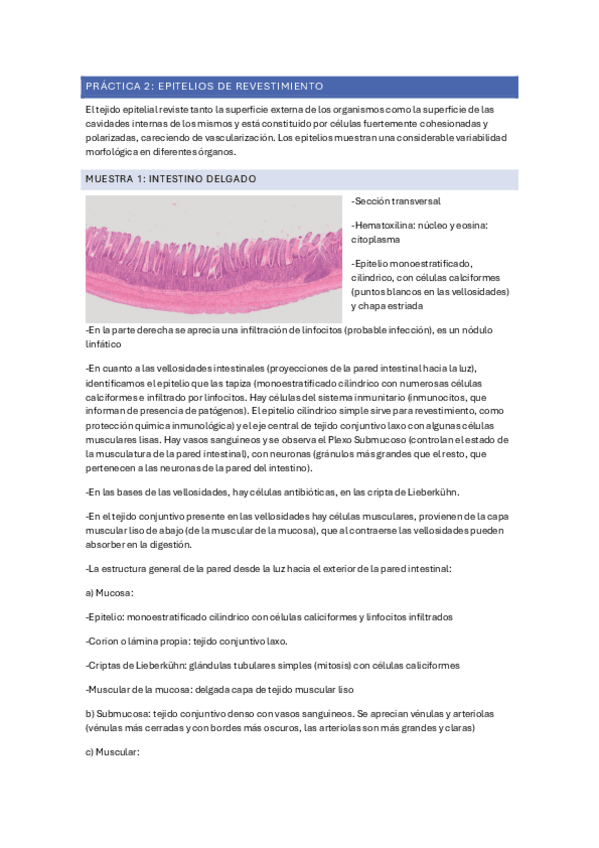 Miniatura del documento practica-2-explicada.pdf