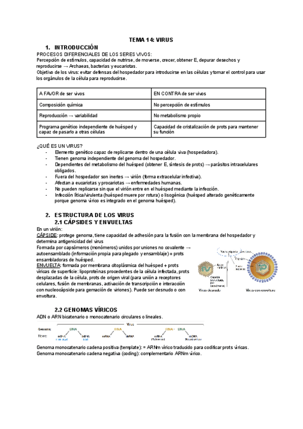 Miniatura del documento TEMA-14-VIRUS.pdf