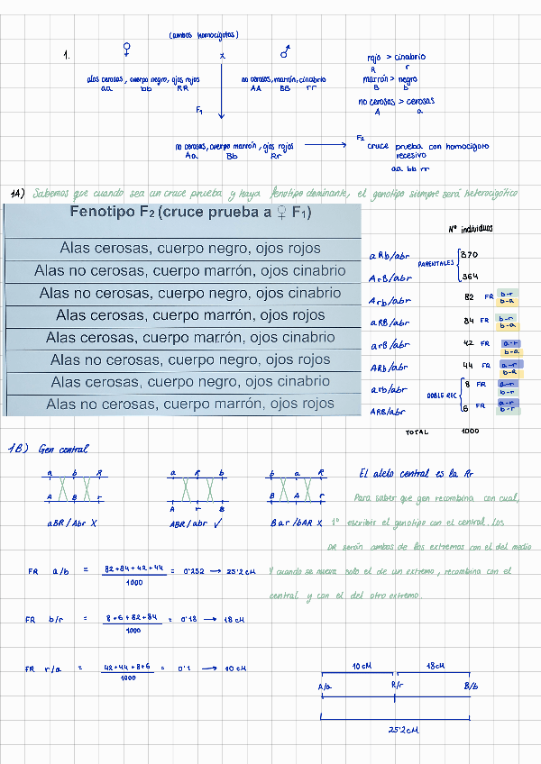 Miniatura del documento Extraordinaria-22-23-Ejercicios-resueltos.pdf