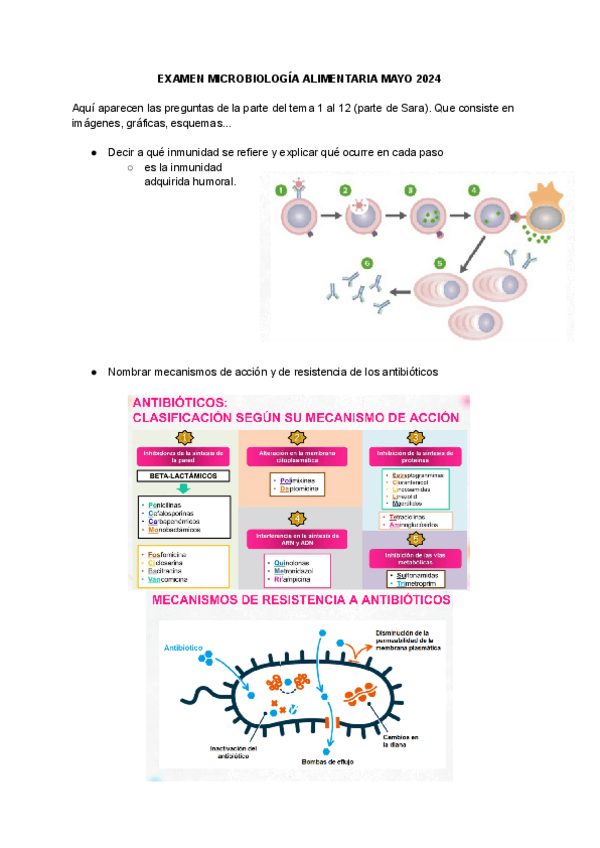 Miniatura del documento EXAMEN-MICROBIOLOGIA-MAYO-2024.pdf