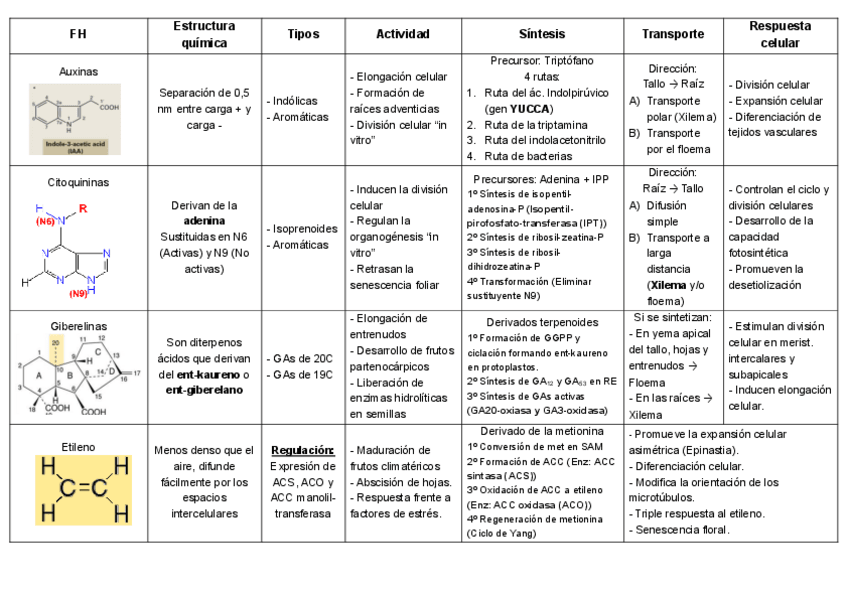 Miniatura del documento Tabla-resumen-Fitohormonas.pdf