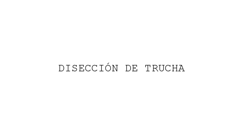 Miniatura del documento Diseccion-trucha.pdf