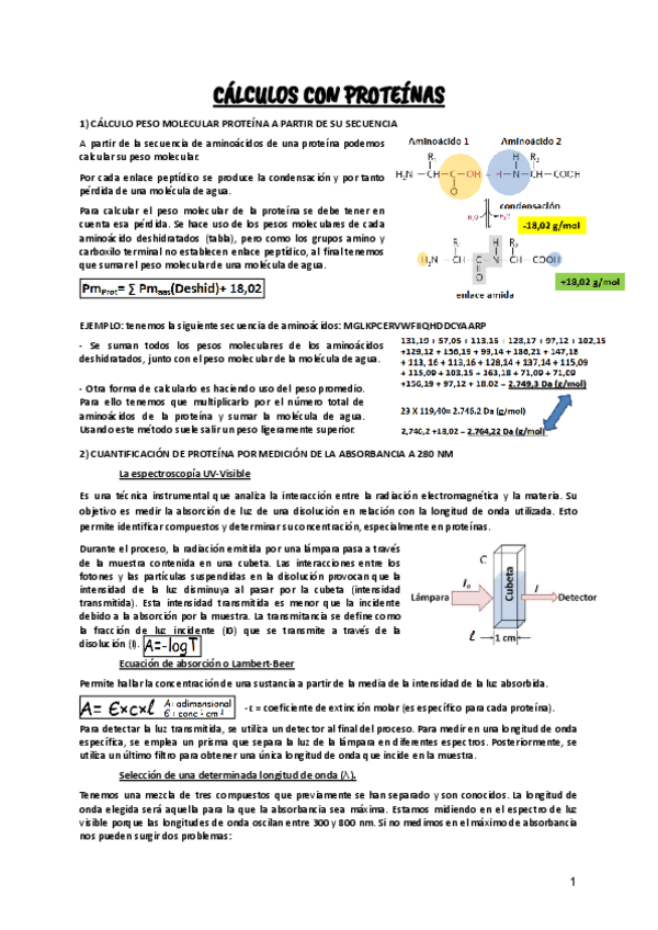 Miniatura del documento Tema-7-b--CALCULOS-CON-PROTEINAS.pdf