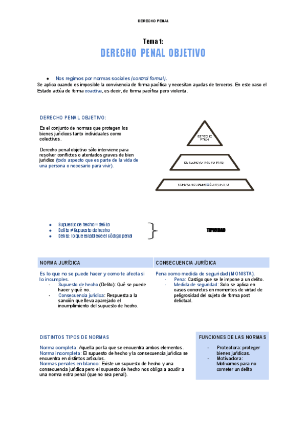 Miniatura del documento Derecho-penal-TODOS-LOS-TEMAS.pdf