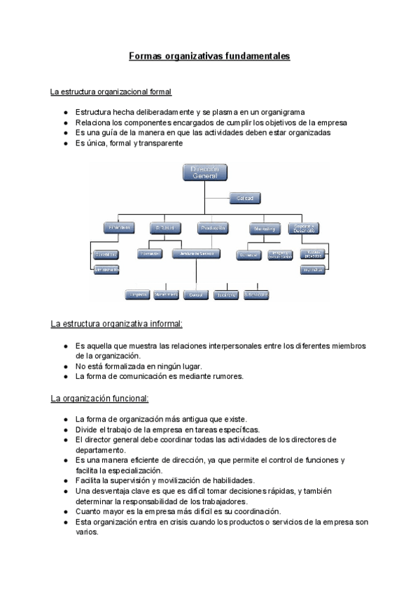 Miniatura del documento Formas-Organizativas-Fundamentales.pdf