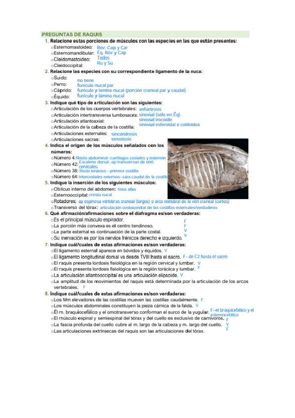Miniatura del documento examen-raquis-3er-parcial.pdf