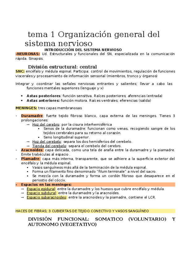 Miniatura del documento ANATOMIA.docx