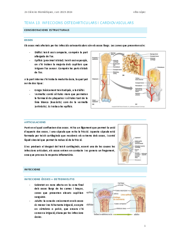 Miniatura del documento Tema-13.-Infeccions-osteoarticulars-i-cardiovasculars.pdf