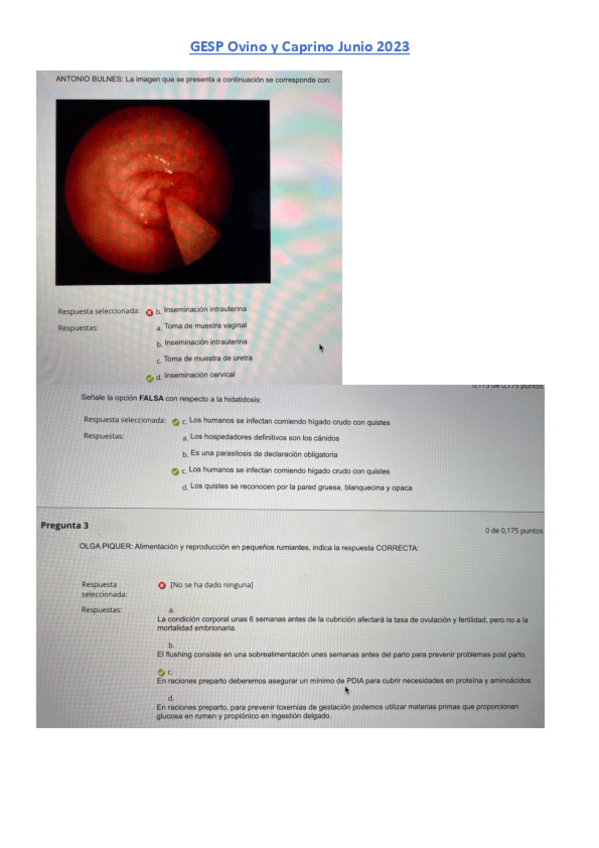 Miniatura del documento Examen-Ovino-y-Caprino-Junio-2023.pdf