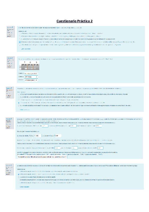 Miniatura del documento Cuestionario Práctica 2.pdf