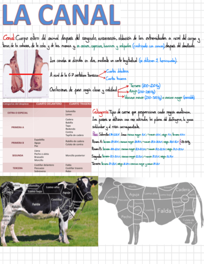 Miniatura del documento Seminario-La-canal.pdf