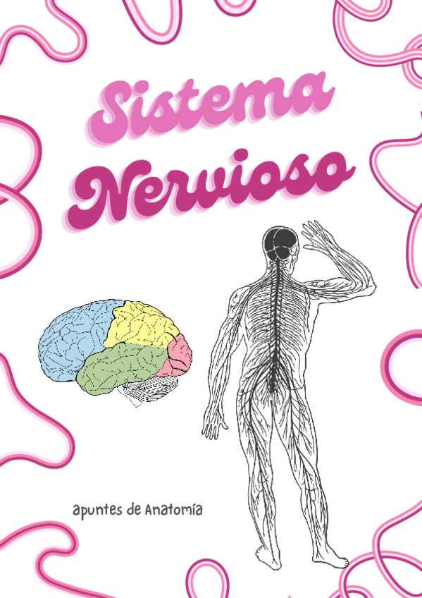 Miniatura del documento Sistema-Nervioso.pdf