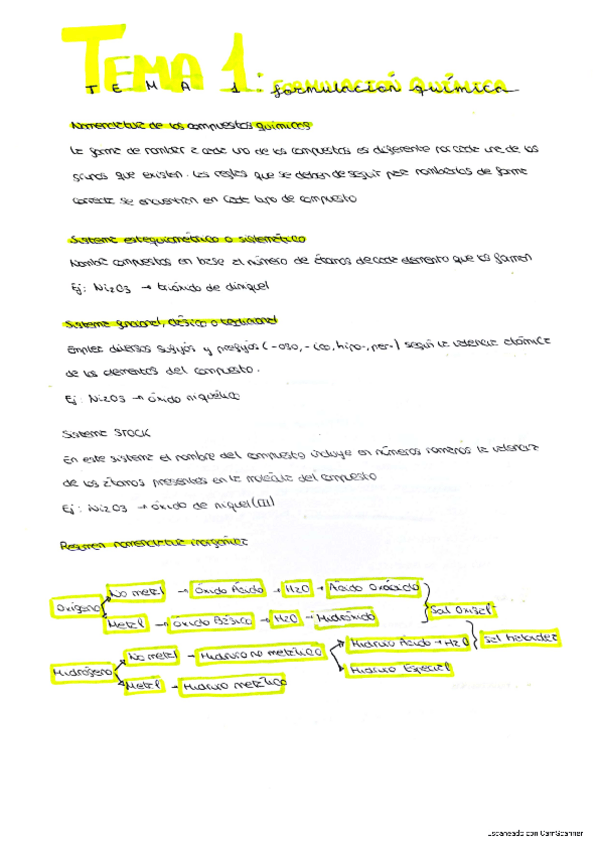Miniatura del documento Tema1Formulacion-Quimica.pdf