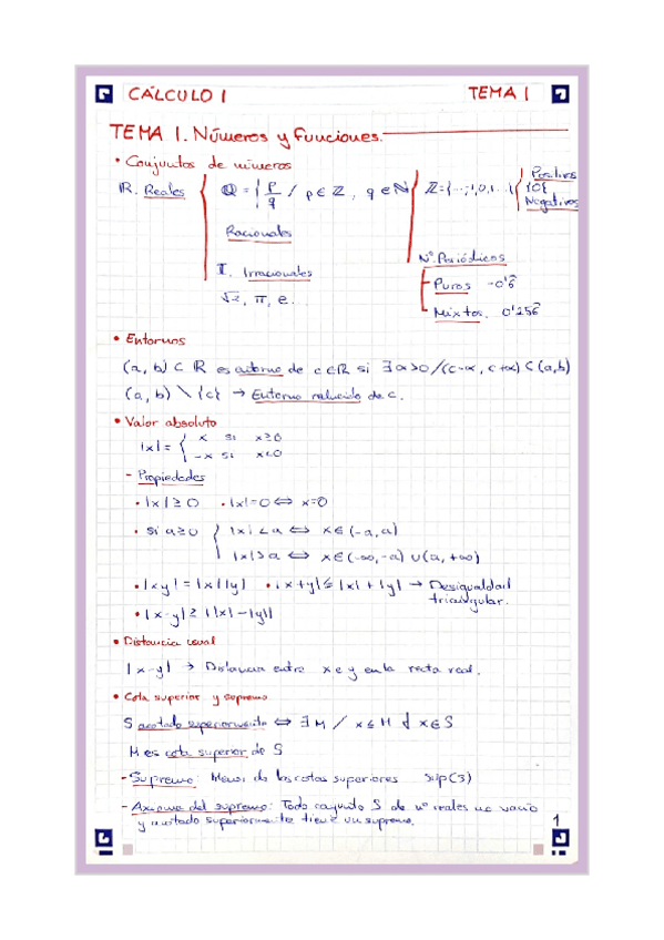 Miniatura del documento Tema-1-Numeros-y-funciones.pdf