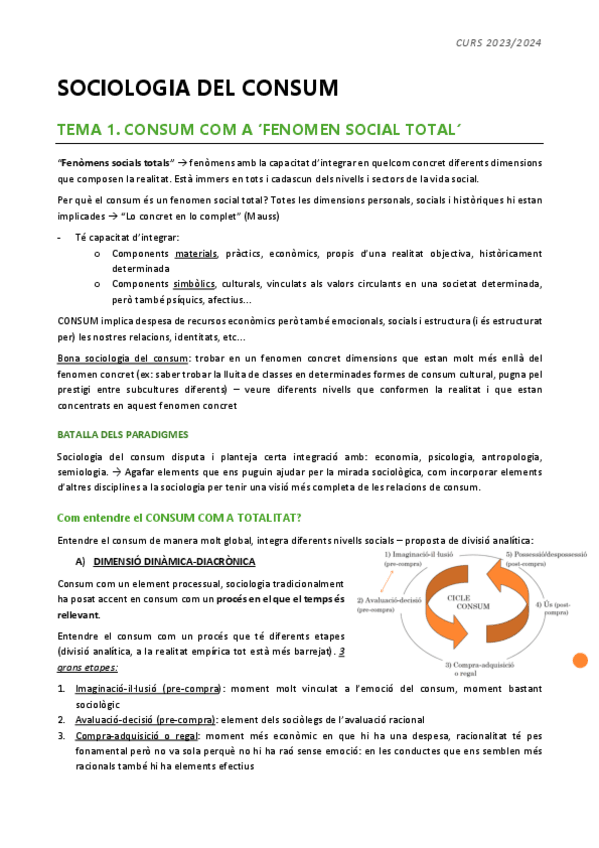 Miniatura del documento Apunts-consumum-i-sostenibilitat.pdf
