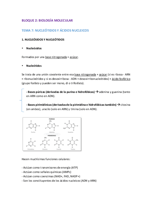 Miniatura del documento BLOQUE-2.pdf