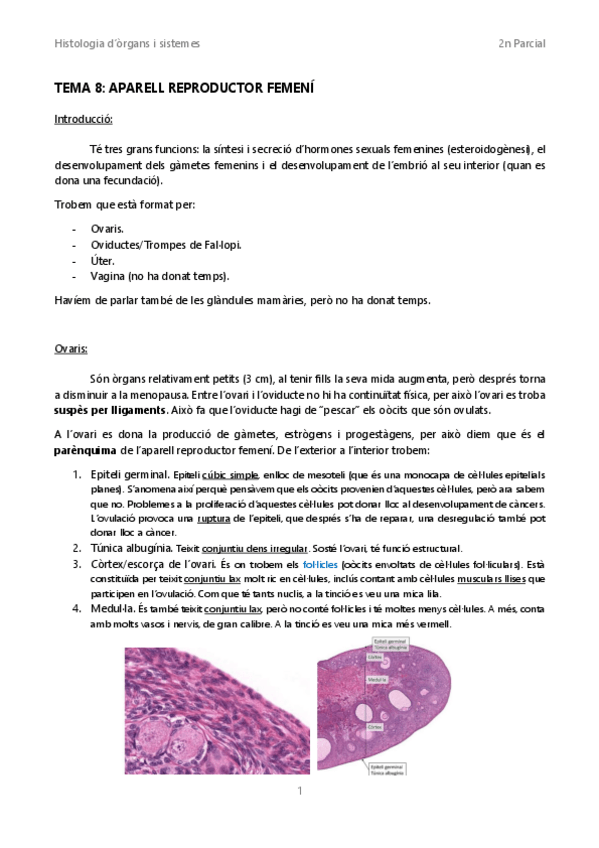 Miniatura del documento Tema-8Aparell-reproductor-femeni.pdf