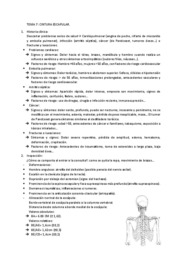 Miniatura del documento Cintura-escapular.pdf