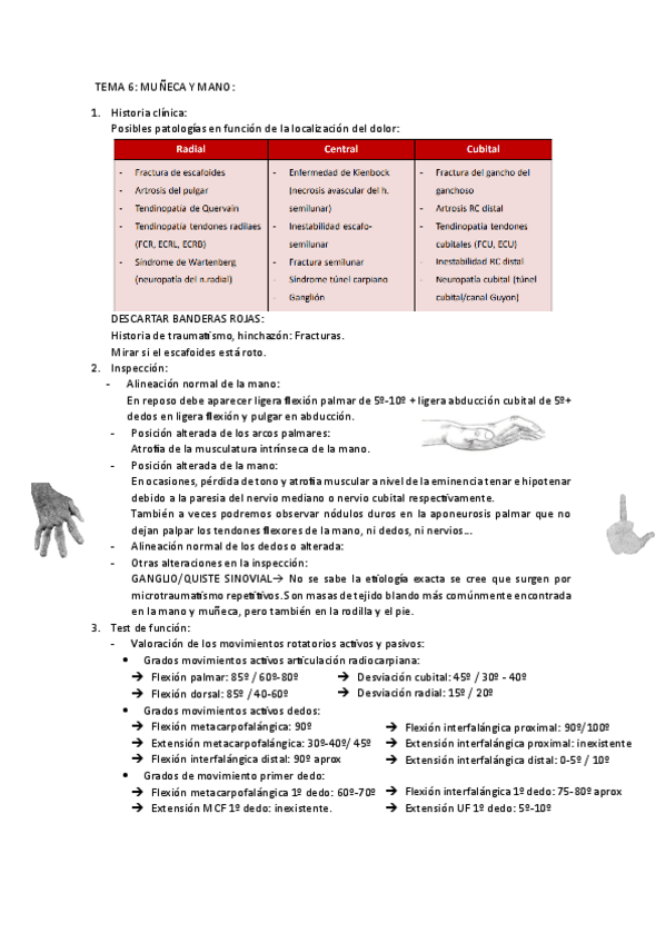 Miniatura del documento Muneca-y-mano.pdf