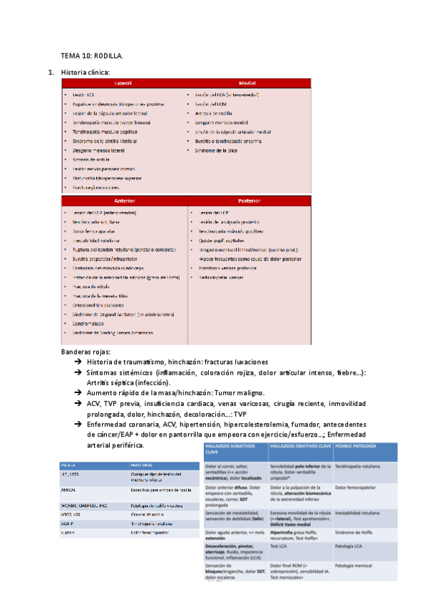 Miniatura del documento Rodilla.pdf