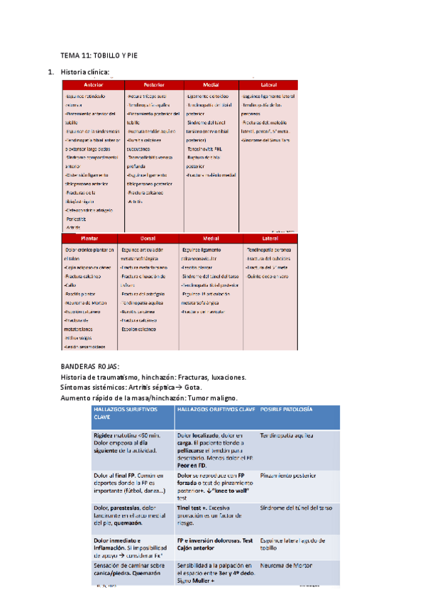 Miniatura del documento Tobillo-y-pie.pdf