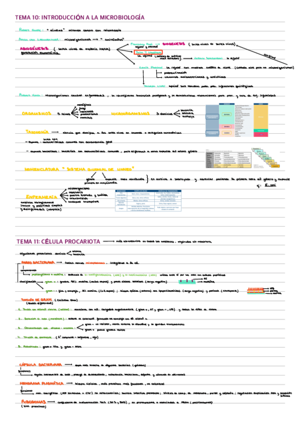Miniatura del documento T10-13.pdf
