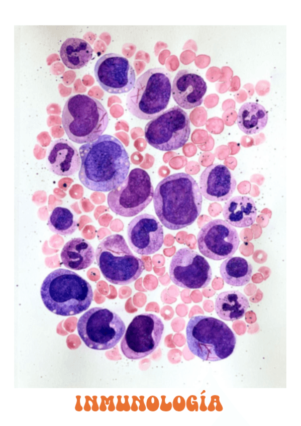 Miniatura del documento INMUNO-todo.pdf